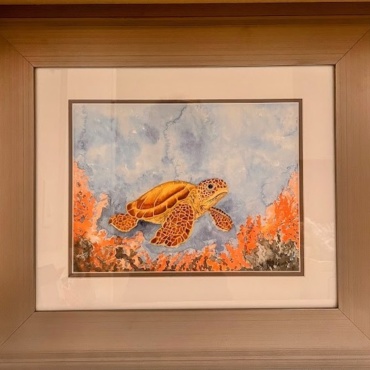 Grouchy among the Coral