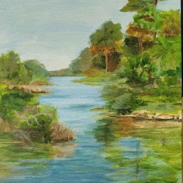 In the land of the Timucua