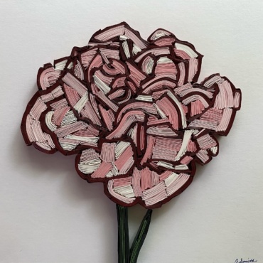 Pink Carnation
