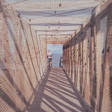 Chain Link