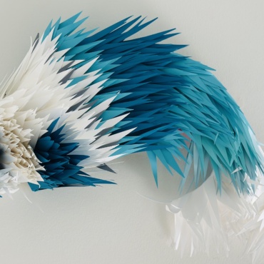 The Paper Fish