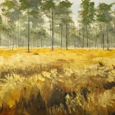 Wekiva Grasslands