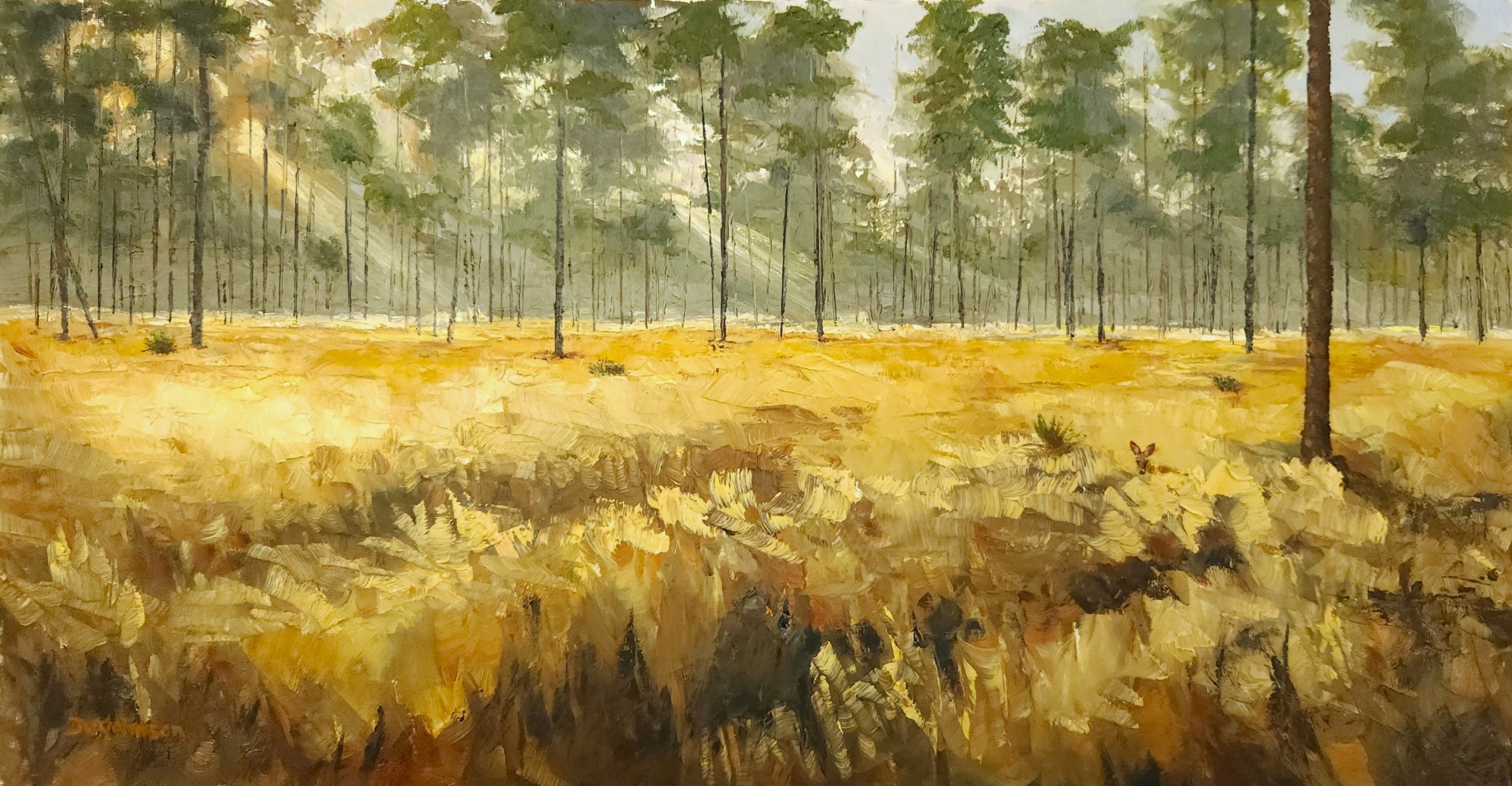 Wekiva Grasslands