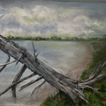 Shoreline