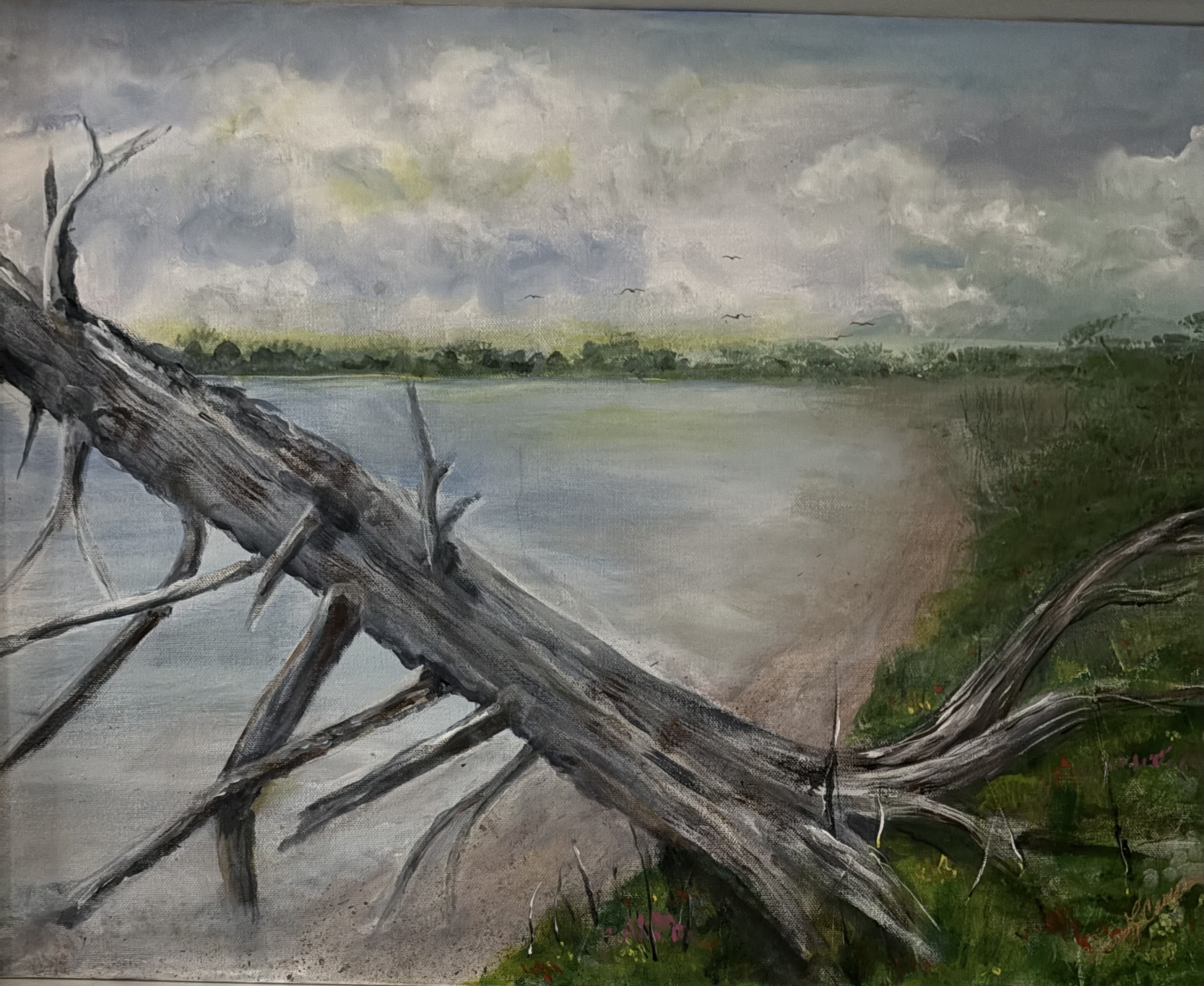Shoreline