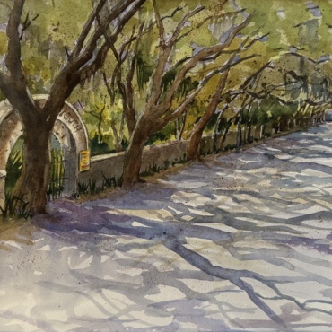 Tree Shadows on Magnolia