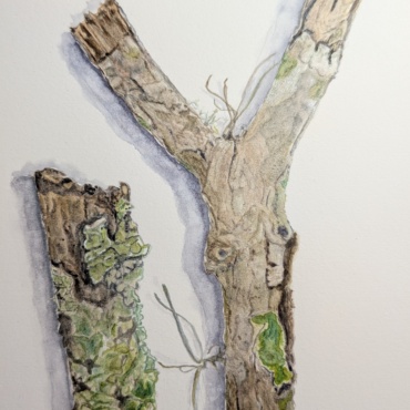 Branching Out