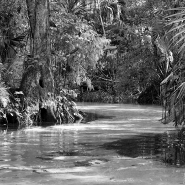 Ancient Spring Waters