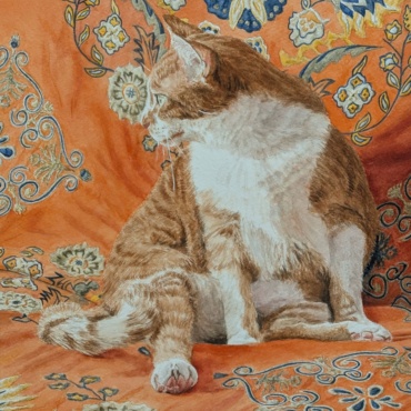 A Study in Orange