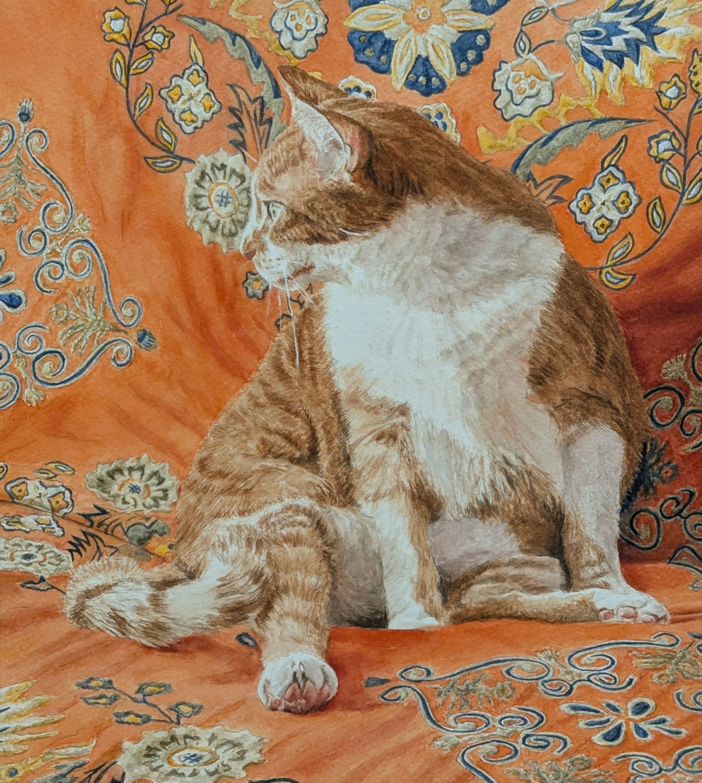 A Study in Orange