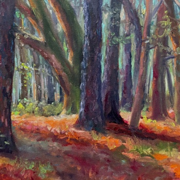 Oaks Among the Pine