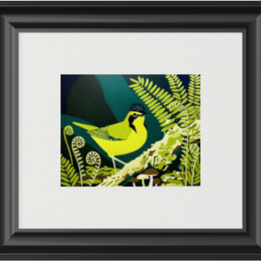 Kentucky Warbler