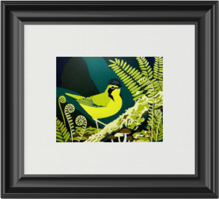 Kentucky Warbler
