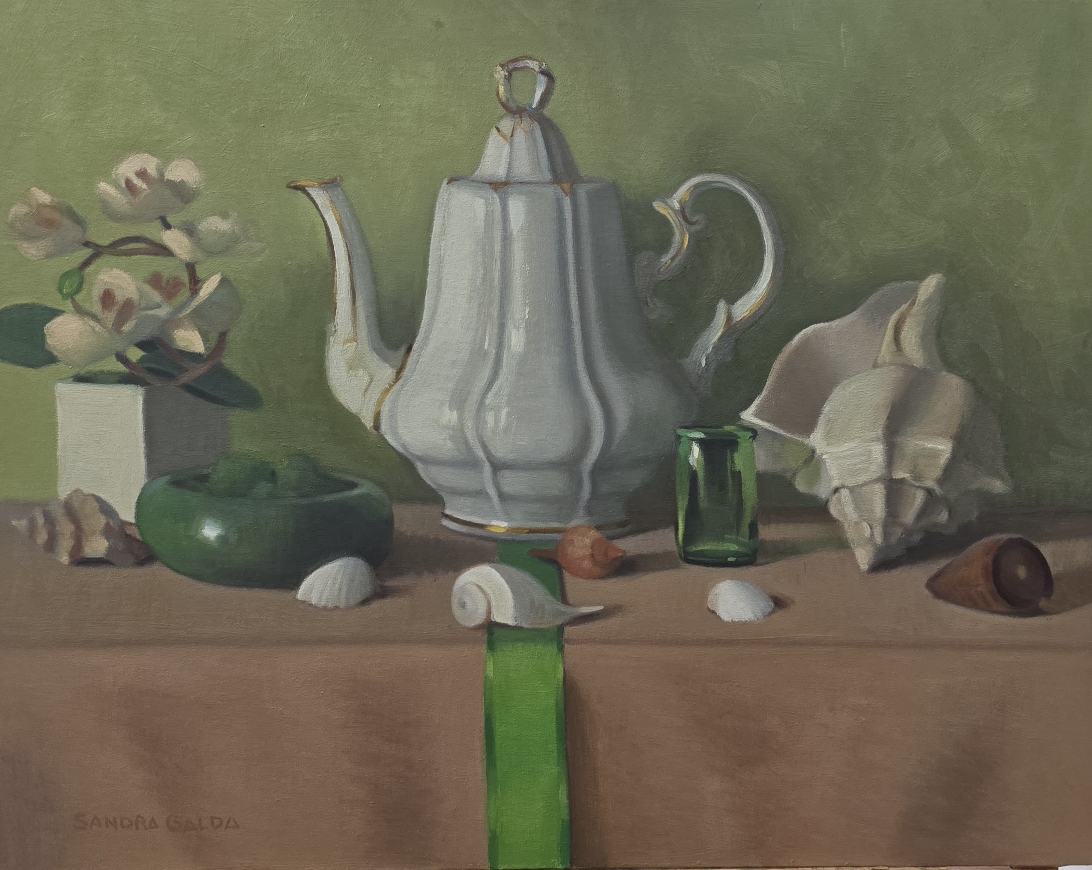 The Shell Collector's Tea Time