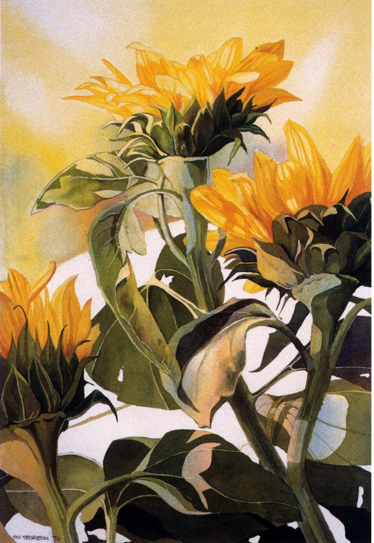 Helianthus