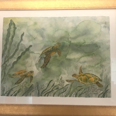 Sea Turtles Playing