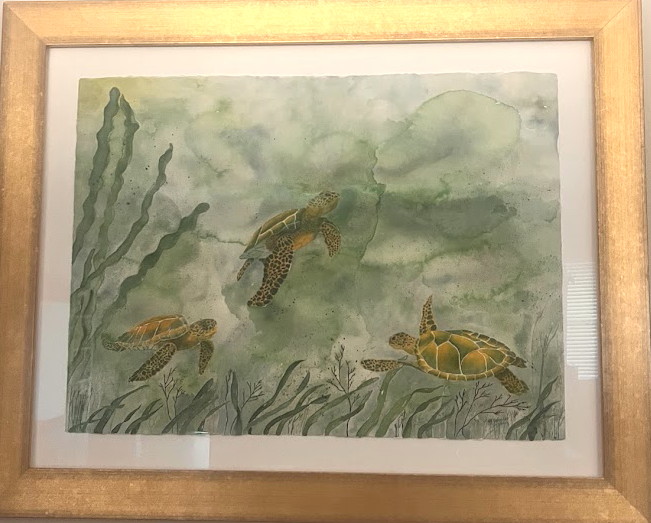 Sea Turtles Playing