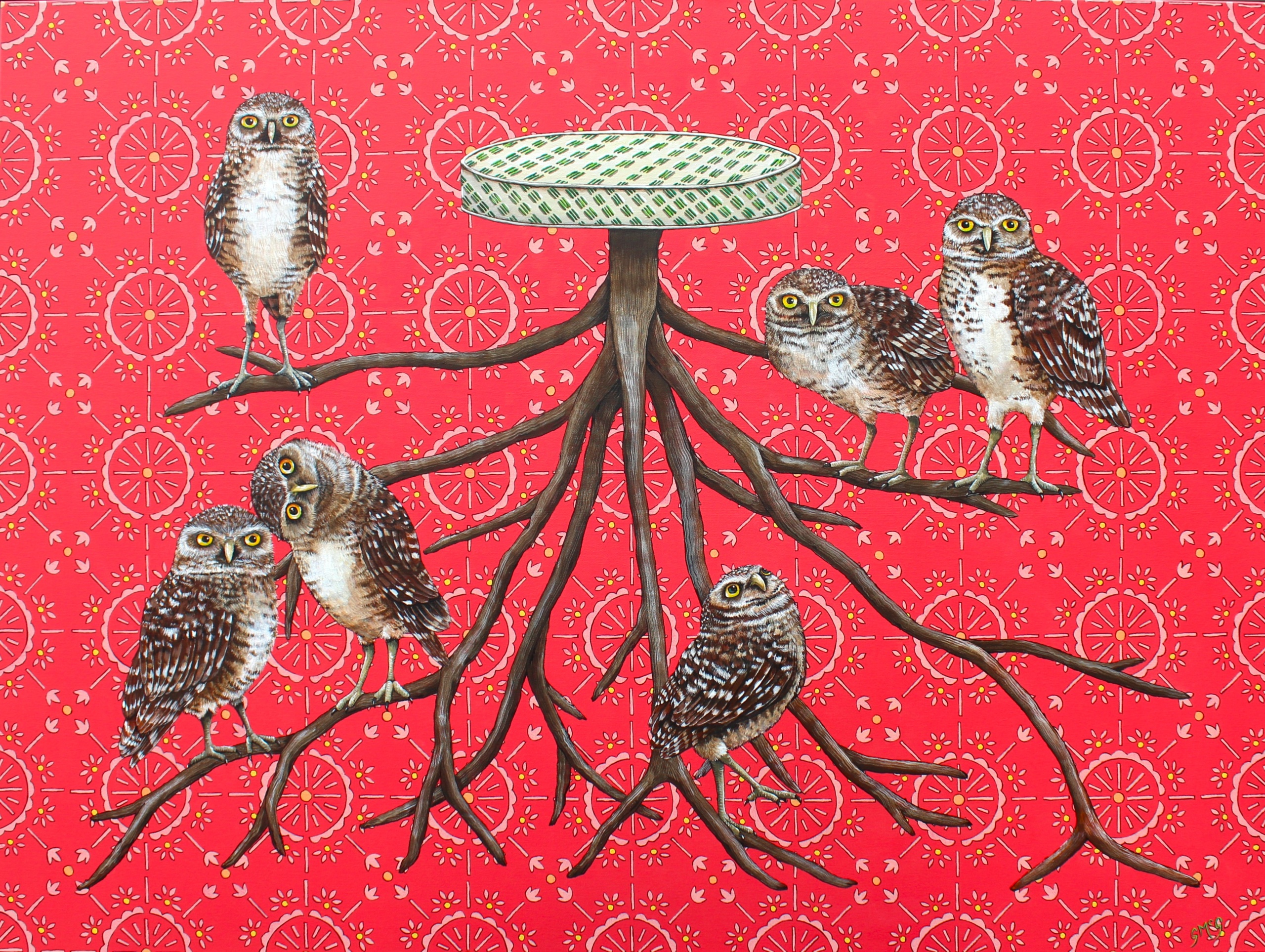 Burrowing Owls