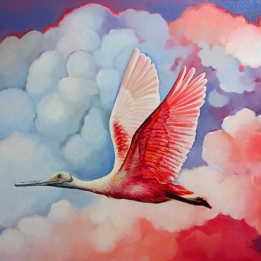 Roseate Spoonbill Flight