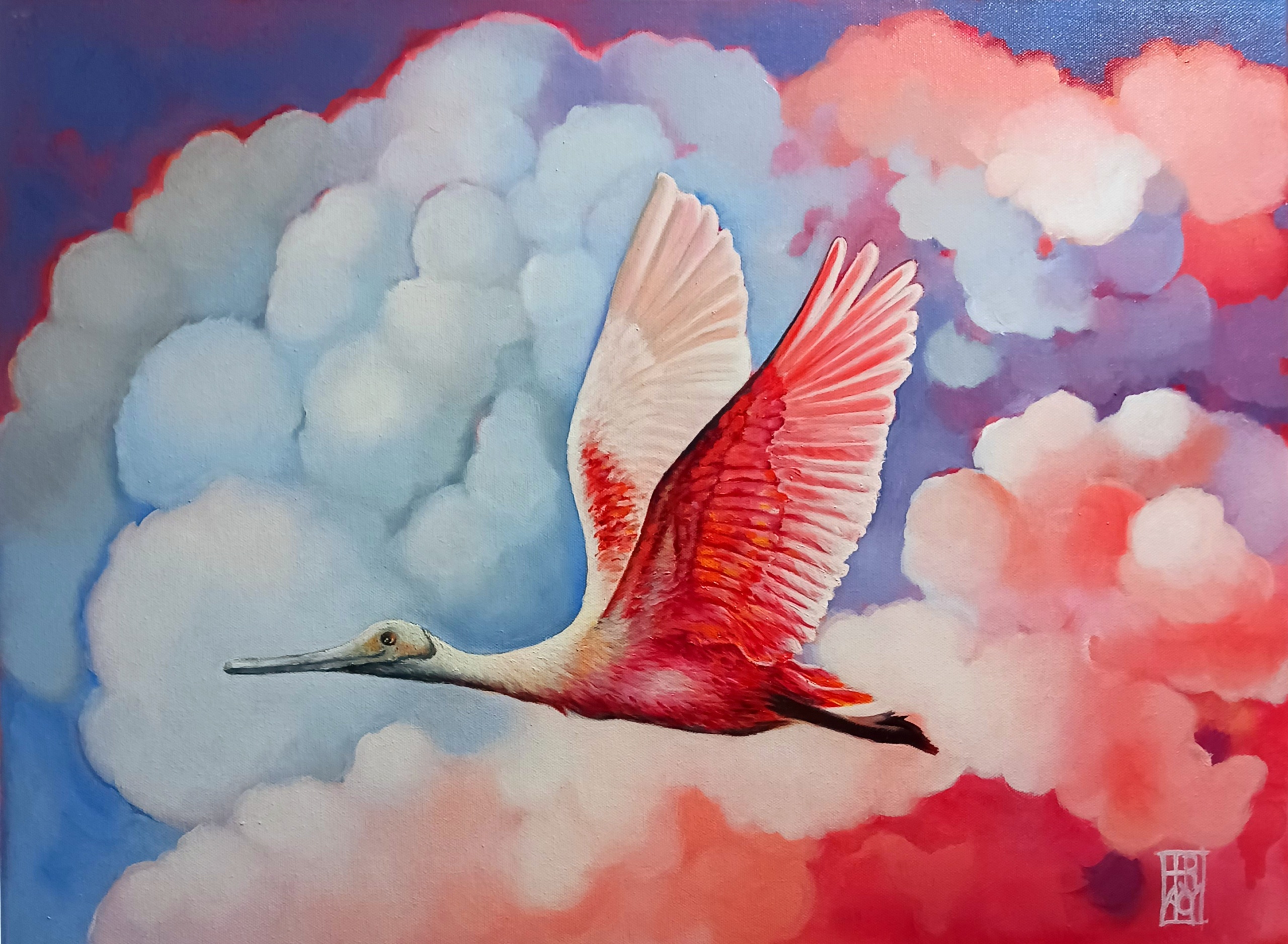 Roseate Spoonbill Flight