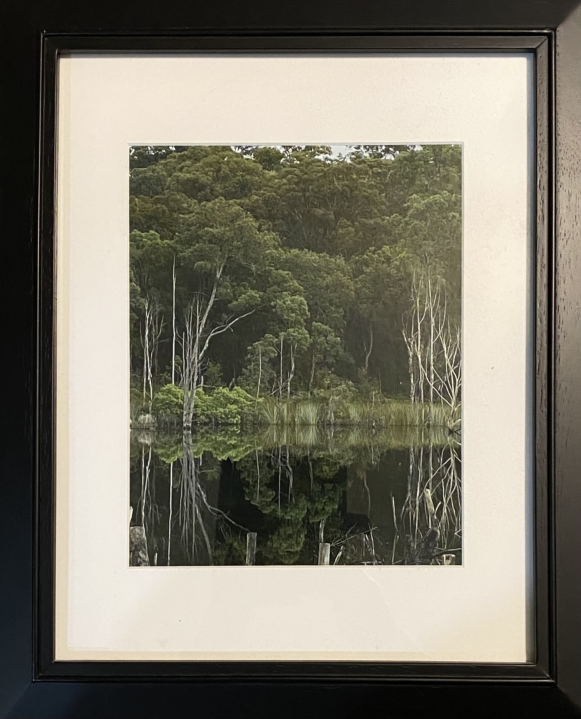 Australia's Thirlmere Lakes National Park