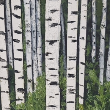 White Birch Forest