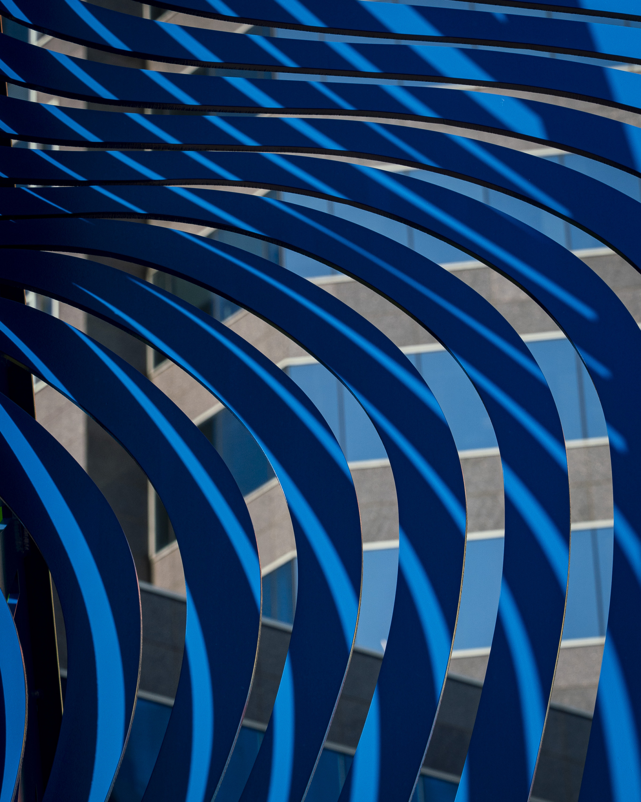 Nova's Rhythm finds transformation in Cecilia Lueza's sculpture on Hogan Street, where sunlight cutting between curved steel ribs turns fixed metal into something closer to dance, arcs that move without moving.