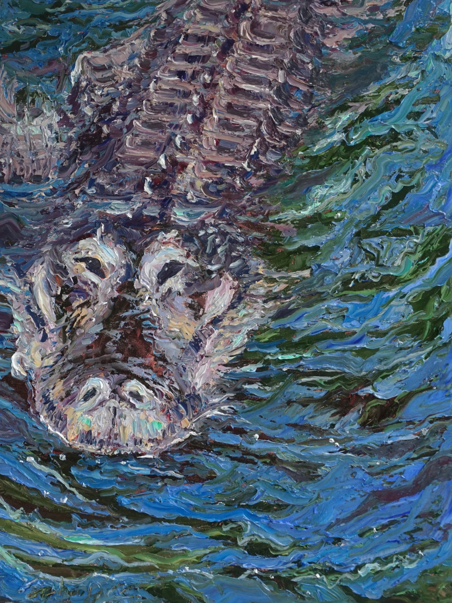 Florida Gator