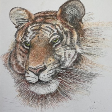Endangered Beauty