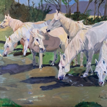 Horses of Patagonia