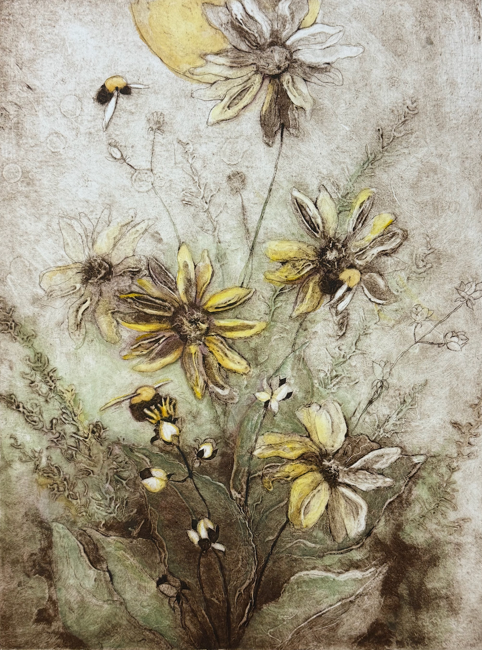 Starry Rosinweed