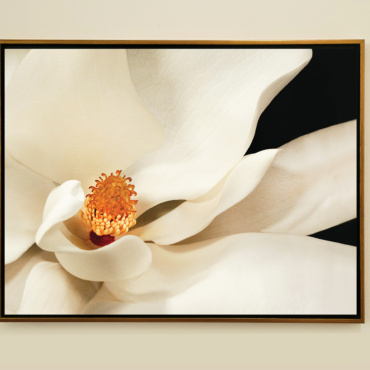 Blossom 1