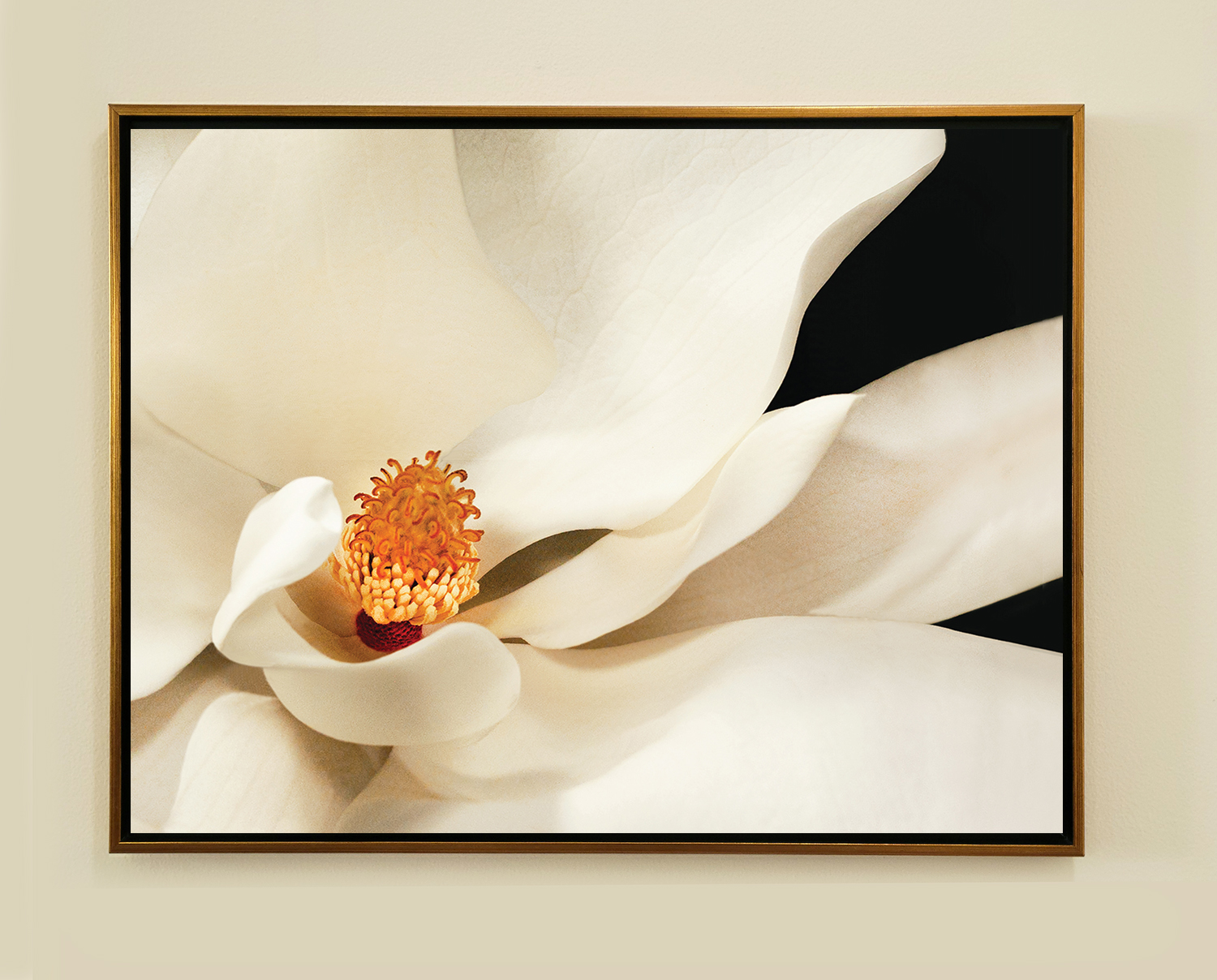 Blossom 1