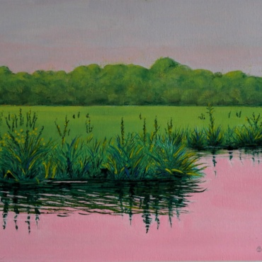 Morning on the Creek