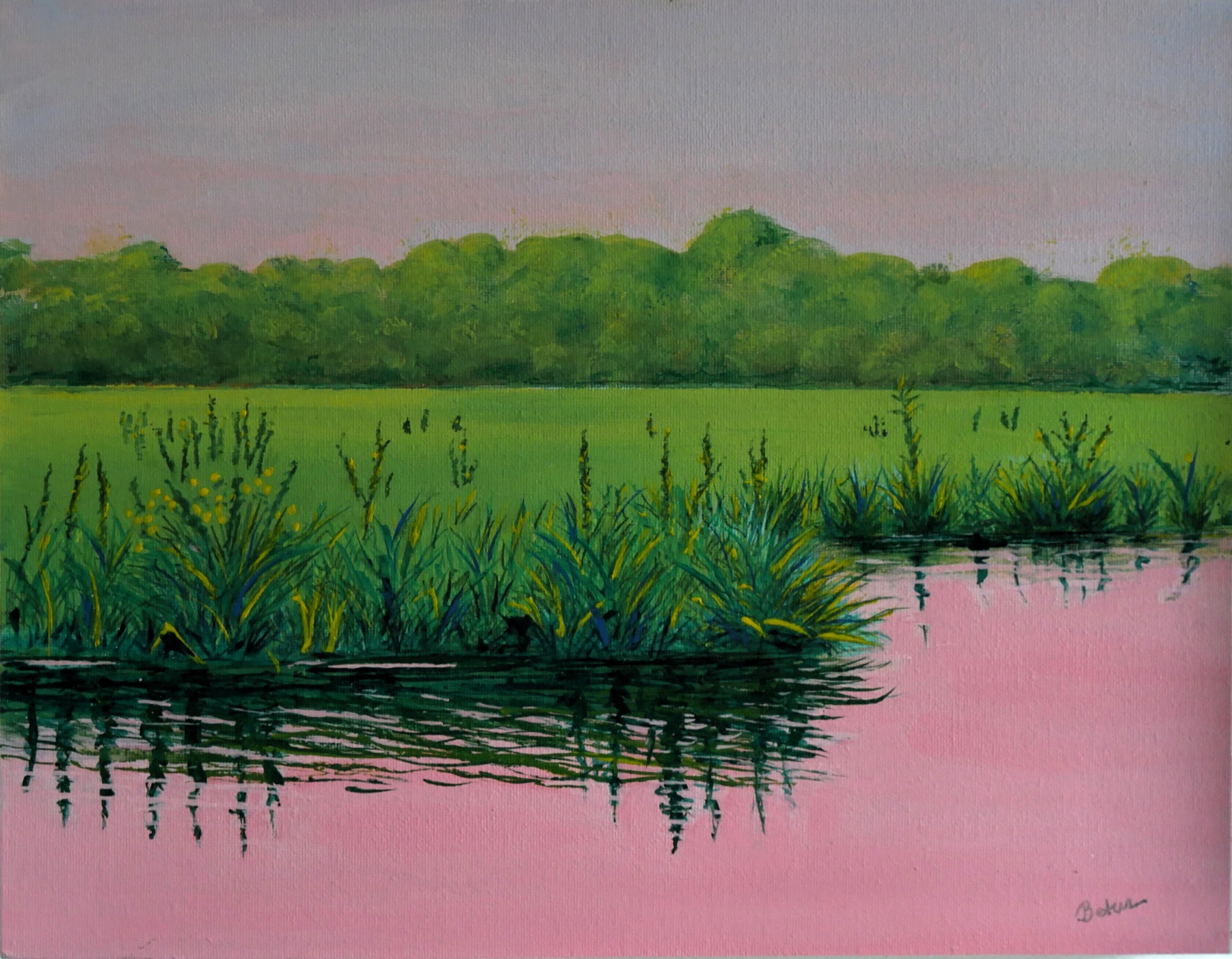 Morning on the Creek