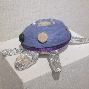 Buddy the Seeing Eye Turtle