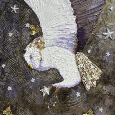 The Star Catcher