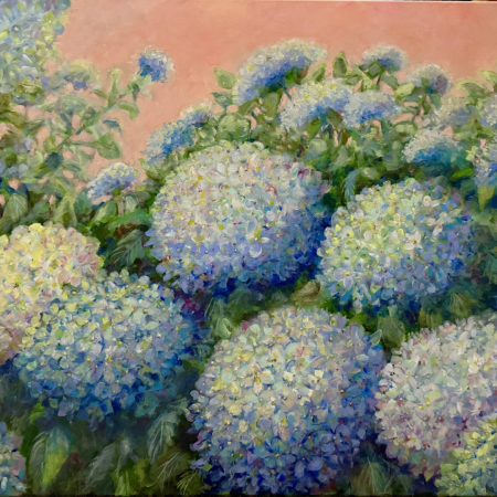 HONORABLE MENTION - Hydrangeas in Azure by Abby Howard-Murphy